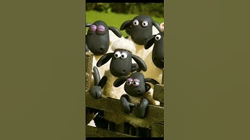 Counting Sheep Until Asleep 😄😄 #funny #shorts #fyp #shaun #cartoon