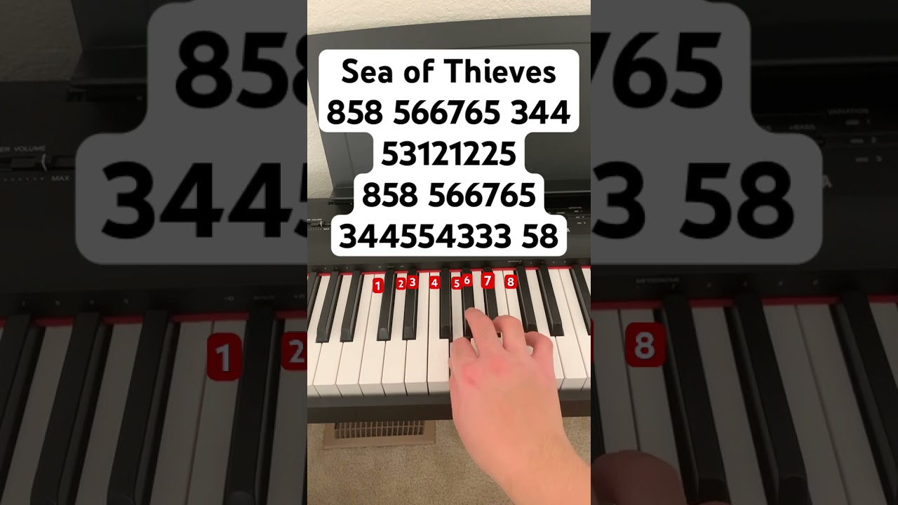 S.o.T. by Snackrunner // follow my instagram: jessnotes123 