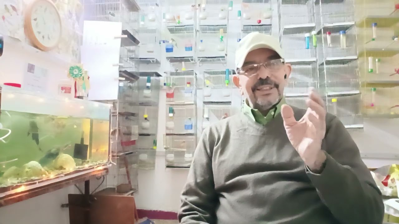 أهم مراحل خط الأنتاج ( عزل الفروخ)