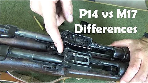 Enfield P14 vs US M1917 Rifles: What Are The Differences?