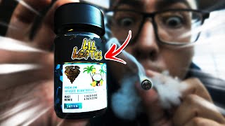 MY FIRST PRE-ROLLS OF 2025! | Lil Leftys Maui Wowie!