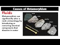 Metamorphism | Second Quarter | Lesson 5.1 | Earth Science