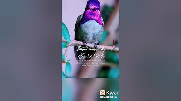 ماتيسر من سورة الانعام أحمد العجمي