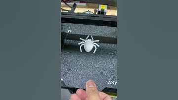 First print Anycubic Kobra 2 Neo #3dprinter