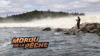 L'escalade des saumons Atlantique sur la rivière Natashquan   Mordu de la Pêche