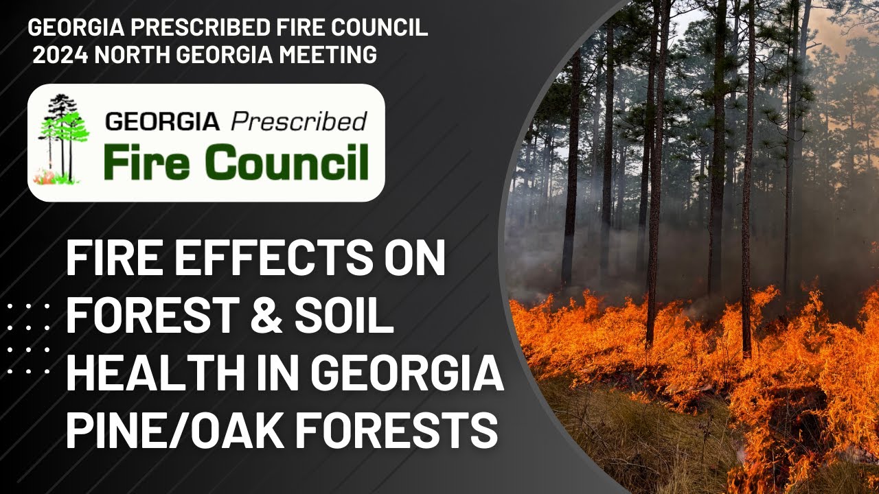 Fire Effects on Soil and Forest Health in Mixed Pine and Hardwood ...