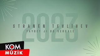 Stranên Tevlîhev Ji Bo Sersalê - Yılbaşına Özel Karışık Şarkılar