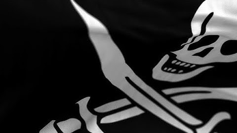 Pirate Flag in the Wind | Motion Graphics - Videohive template