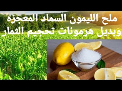 فيديو: ما هي الثمار التي يتكون منها الحمض؟