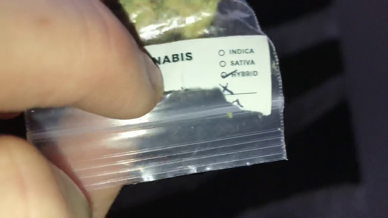 White Widow X Big Bud