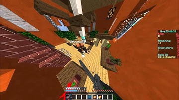 Hive Hacker Report: SevusaTim