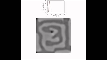 Nanoscale switch for vortex polarization mediated by Bloch core formation in magnetic hybrid systems