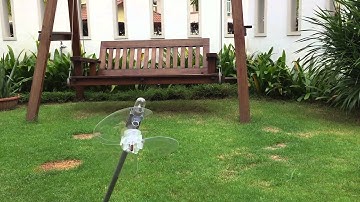 IGCSE Global Perspective Project