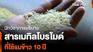 นักวิชาการอธิบาย สารเมทิลโบรไมด์ ที่ใช้รมข้าว 10 ปี | ชั่วโมงข่าว เสาร์ - อาทิตย์ | 11 พ.ค. 67