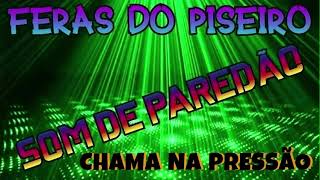 FERAS DO PISEIRO SOM DE PAREDÃO PRA BOMBAR NO CHURRASCO SOM DE TIKTOK