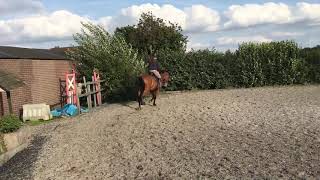 Newtown Clinton flatwork