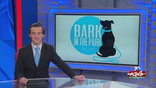 How Bark in the Park helps shelter animals