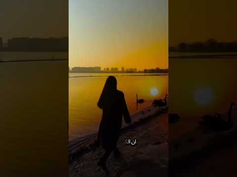 قصيدة الحزن الشاعر ناصر قره أوغلان أداء إنجي سمير إنجي سمير