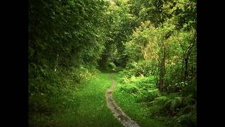 A Little Walk