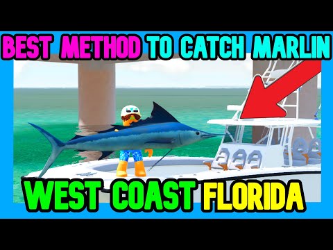 BEST METHOD TO CATCH MARLIN In West Coast Florida