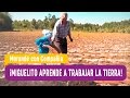 Miguelito aprende a trabajar la tierra - Morandé con Compañía 2016