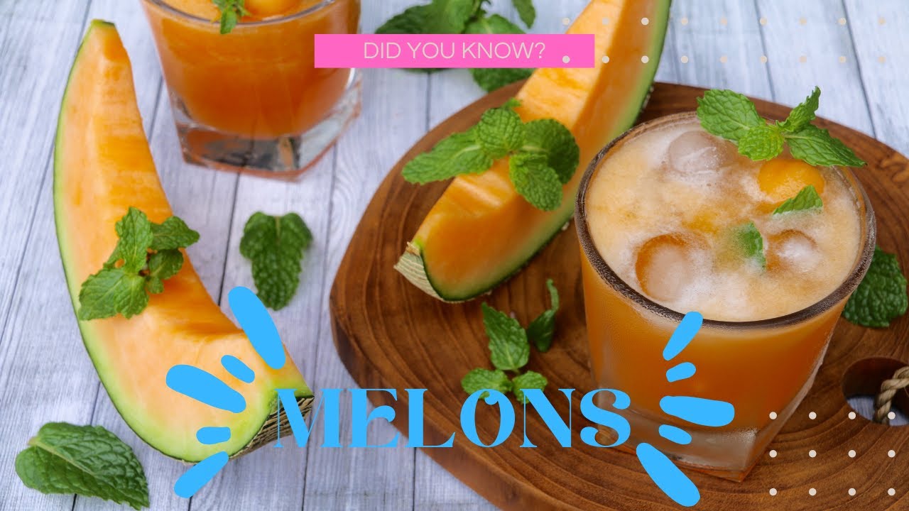 Melon Marvelous facts & health benefits of Melon YouTube