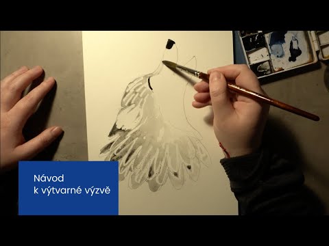 Video: Jak nakreslit portrét celé tváře jednoduchou tužkou