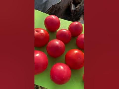 #мівіна #з #томатами #та #яйцями #смачного #вам - YouTube