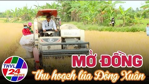 Mở đồng thu hoạch lúa Đông Xuân