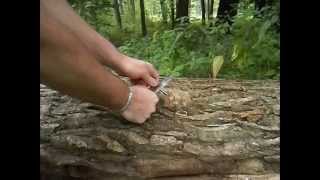 Mora Robust Update @MSLBushcraftSurvival