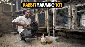 How To Easily Start A COMMERCIAL RABBIT FARM As A BEGINNER at Your BACKYARD in 2025!