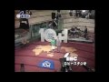 【なつかし番組】ニュースエコー10周年スペシャル