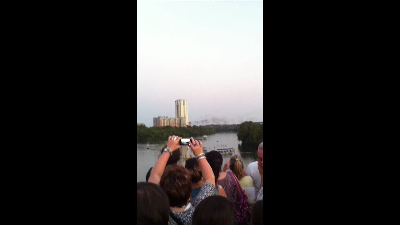 Bats Flying at Bat Fest 2011 on Congress Bridge in Austin Texas - YouTube