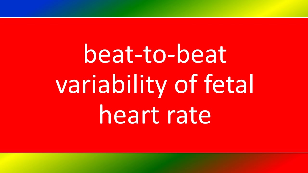 BEAT T0 BEAT VARIABILITY OF FETAL HEART RATE YouTube BEAT T0 BEAT VARIABILITY OF FETAL HEART RATE YouTube