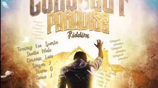 Conquest Paradise Riddim Mix | Dj Absolute | Damage Musiq | May 2019