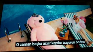 Aleyne tilki\\ sen olan bari 2017