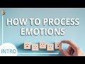 How to Process Your Emotions: Course Introduction/30 Depression and Anxiety Skills Course