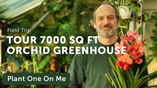 Tour 7000 sq ft of ORCHID GREENHOUSE with Little Brook Orchids — Ep. 311