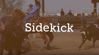 Sortarena Sidekick Promo Video