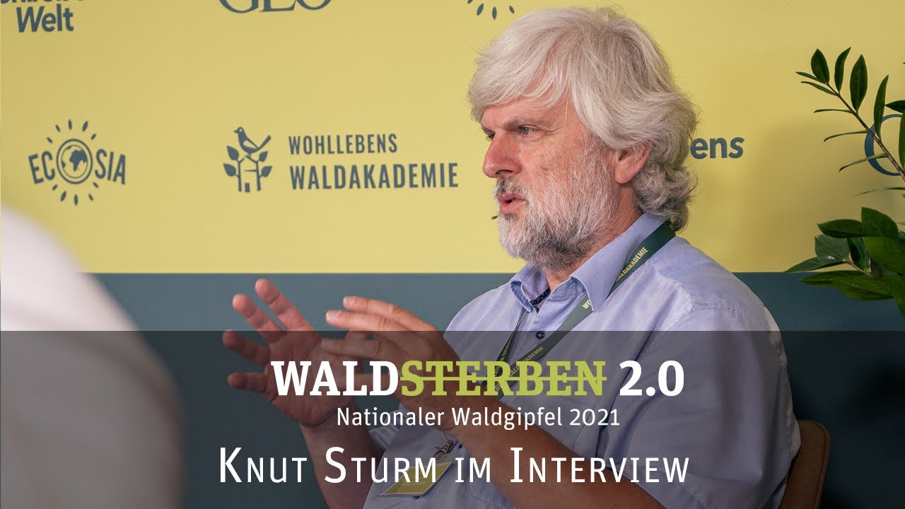 Interview mit Knut Sturm zum Thema Walökosysteme und Waldaufbau