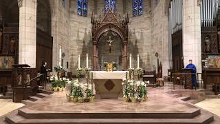 Mass for 2nd Sunday of Easter - April 19, 2020