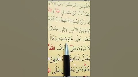 سورة الأنفال الأية 48 إلى 49 القارئ سعد الغامدي