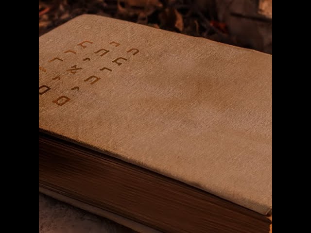 Watch The Haftarot: How to Profit from the Prophets (Parshat Sh'lach) || Dr. Moshe Sokolow on YouTube.