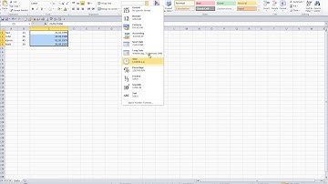 Microsoft Excel 2010 Level One Video 15 Working with Dates Undo and Redo