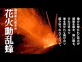 花火動乱蜂~閃光と刹那の祈り~