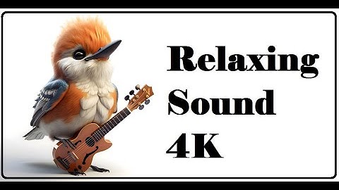 Common Blackbird Call_Song_Sound - Chirping_Singing Birds 1 Hour