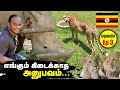 Feeding Dangerous Animals | Ep - 3 | Tamil Trekker