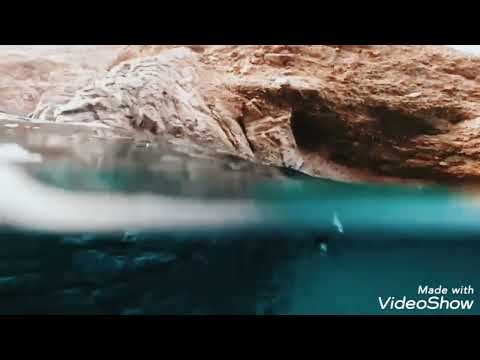 حيل العضاه ولاية صحار
