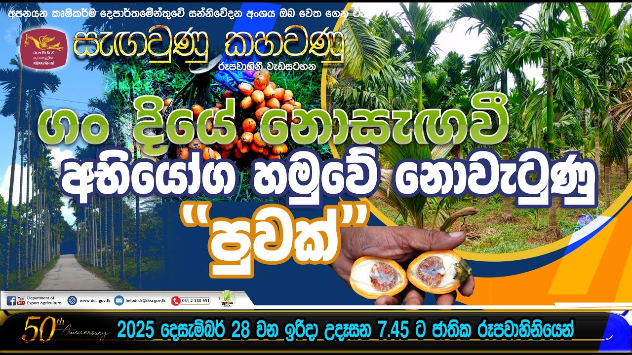 ගං  දියේ නොසැගවී  අභියෝග හමුවේ නොවැටුණු 