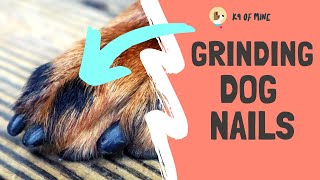 How to Grind Dog Nails With a Dremel!